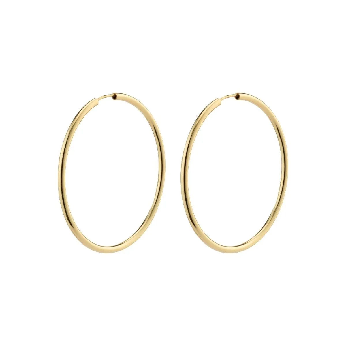 April Rec Med/Hoop Earrings|Gold